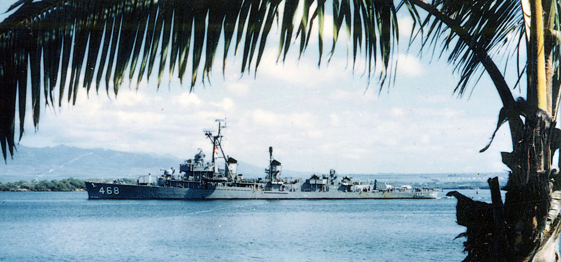 The-Ship-Photos-Vietnam-Taylor-framed-by-palm-tree